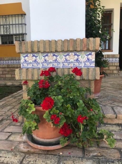 El Magnolio Βίλα Chiclana de la Frontera Εξωτερικό φωτογραφία